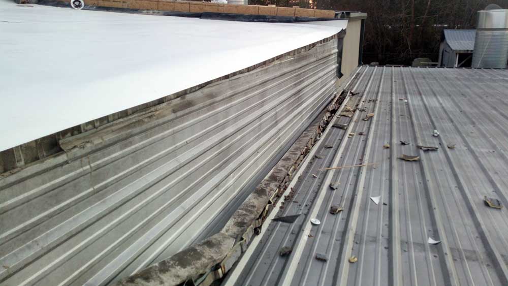 The Transition Repair Process #1 Original roof before repairs
